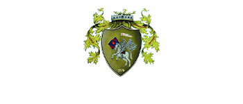 sbandieratori-sangemini-bian